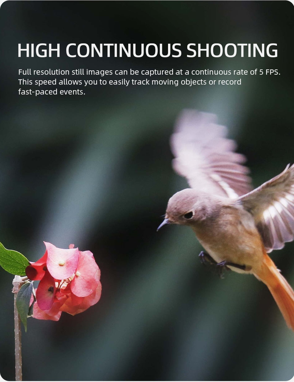 Nikon D5200 Digital SLR Camera Set Equipped with 18-55mm VR Zoom Lens (Black)